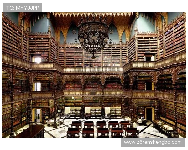 D88尊龙会员如何利用专属优惠提升游戏充值返利,节省更多游戏开支